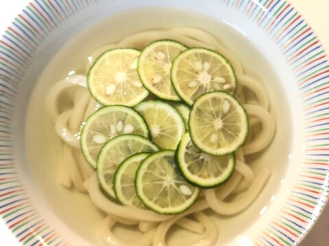 すだちかけうどん